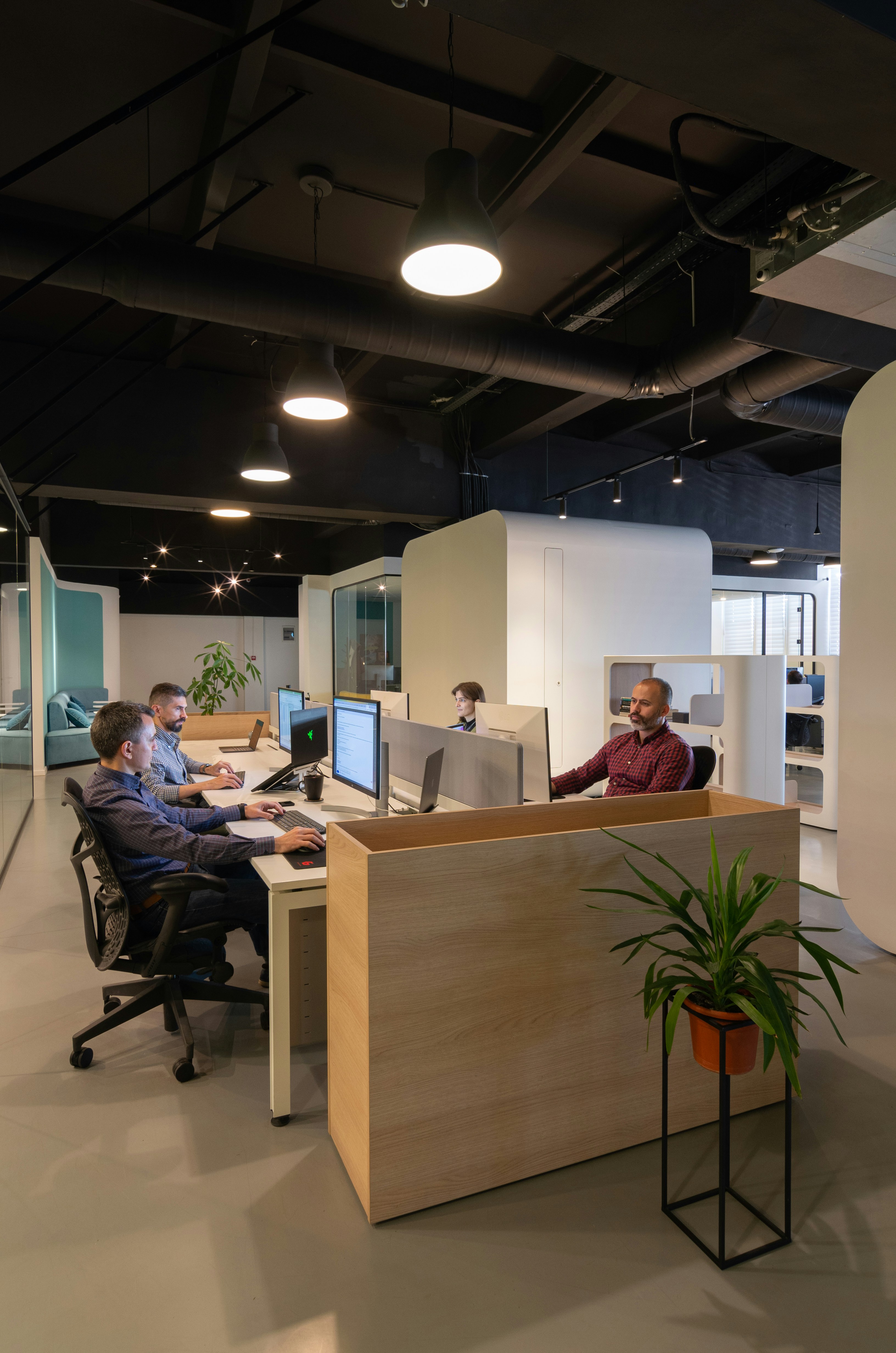 Consulting & Professional Growth